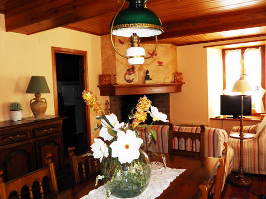 OLYMPUS DIGITAL CAMERA OLYMPUS DIGITAL CAMERA