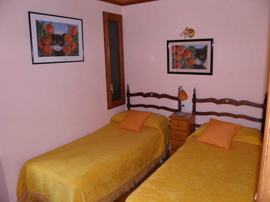 OLYMPUS DIGITAL CAMERA OLYMPUS DIGITAL CAMERA