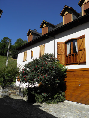 OLYMPUS DIGITAL CAMERA OLYMPUS DIGITAL CAMERA